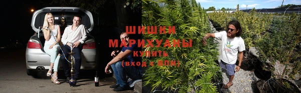 гидра Осинники