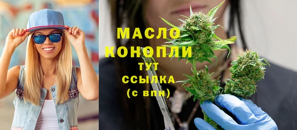 гидра Осинники