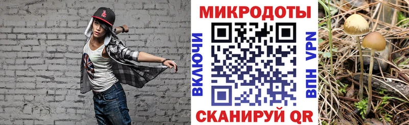 Псилоцибиновые грибы Cubensis  MEGA   Богданович 