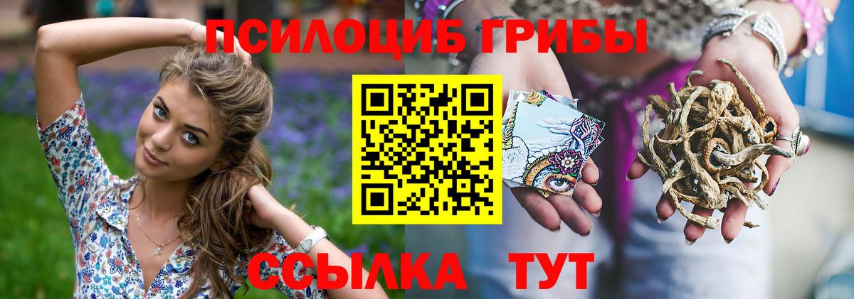 Псилоцибиновые грибы Magic Shrooms Богданович