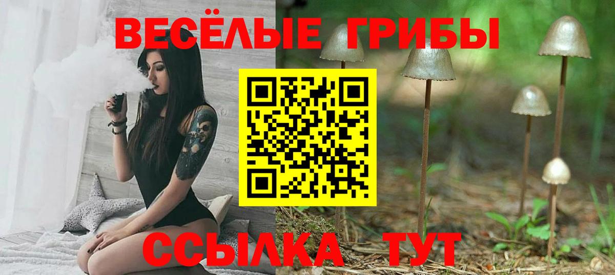 Псилоцибиновые грибы мухоморы Богданович