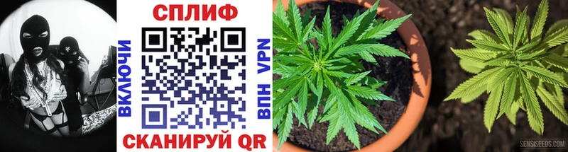 Канабис OG Kush  Богданович 